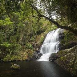 Serra da Bocaina National Park Tourism Africa