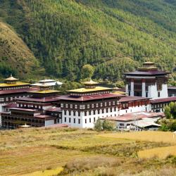 Thimphu Tourism Africa