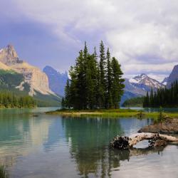 Jasper National Park Tourism Africa