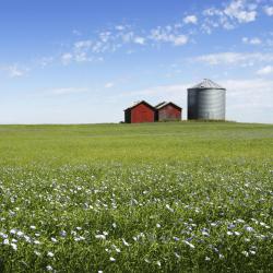 Manitoba Tourism Africa