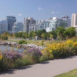 Mississauga Tourism Africa