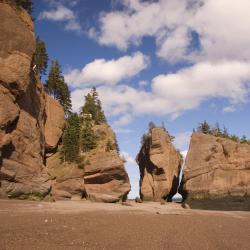 New Brunswick Tourism Africa