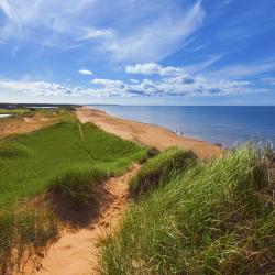 Prince Edward Island Tourism Africa