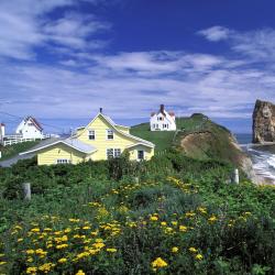 Quebec Tourism Africa