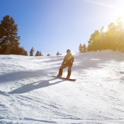 Silver Star Tourism Africa