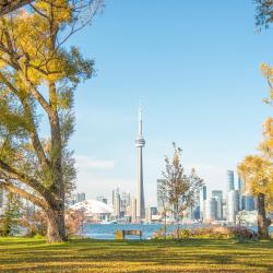 Toronto Tourism Africa