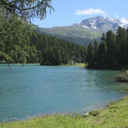 Engadin St. Moritz Tourism Africa
