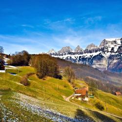 Gstaad Saanenland Tourism Africa