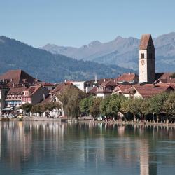 Interlaken Tourism Africa