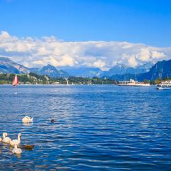 Lake Lucerne Tourism Africa