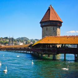 Luzern Tourism Africa