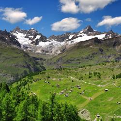 Swiss Alps Tourism Africa