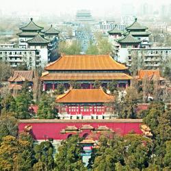 Beijing Area Tourism Africa