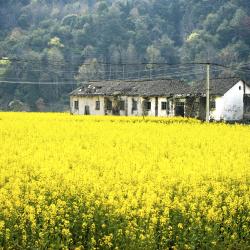 Jiangxi Tourism Africa