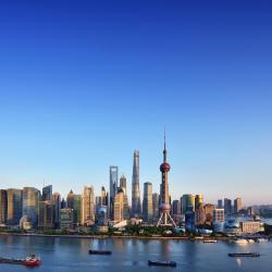 Shanghai Tourism Africa
