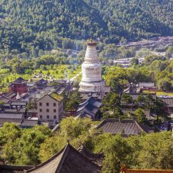 Shanxi Tourism Africa
