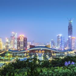 Shenzhen Tourism Africa
