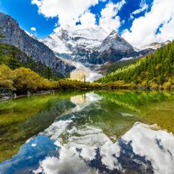 Sichuan Tourism Africa