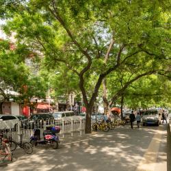 Yabao Road, Beijing Tourism Africa