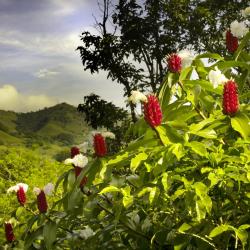 Heredia Tourism Africa