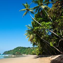 Puerto Viejo Tourism Africa