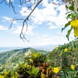 Puntarenas Tourism Africa