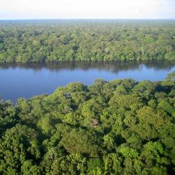 Tortuguero Tourism Africa