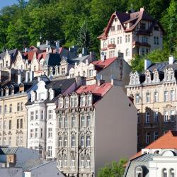Karlovy Vary Tourism Africa