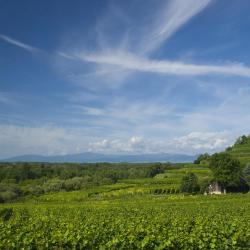 Baden-Württemberg Tourism Africa