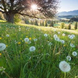 Bavaria Tourism Africa