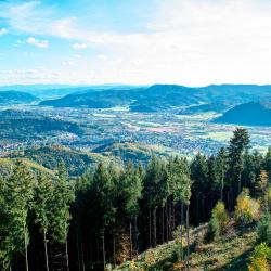 Black Forest Tourism Africa