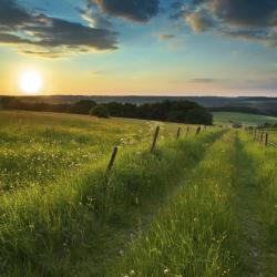 Eifel Tourism Africa