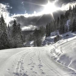 Feldberg Tourism Africa