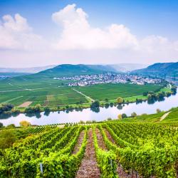 German Mosel Tourism Africa