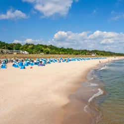 Rügen Tourism Africa