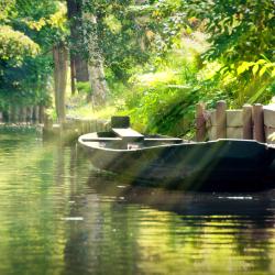 Spreewald Tourism Africa