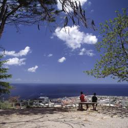 Roseau Tourism Africa