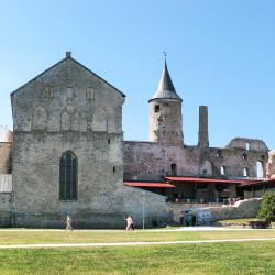 Haapsalu Tourism Africa