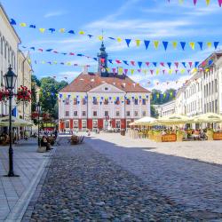Tartu Tourism Africa