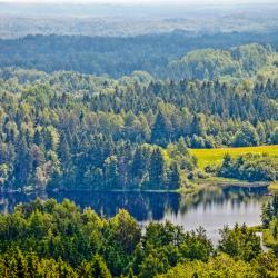 Võrumaa Tourism Africa