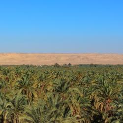 Bahariya Oasis Tourism Africa