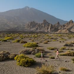 Canary Islands Tourism Africa