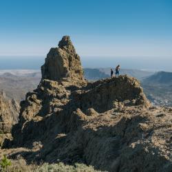 Gran Canaria Tourism Africa
