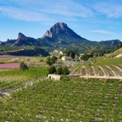 Murcia Tourism Africa