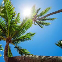 Pacific Harbour Tourism Africa