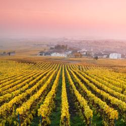 Champagne Accommodation Africa