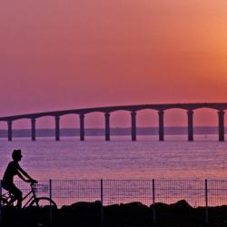 Island of Ré Accommodation Africa