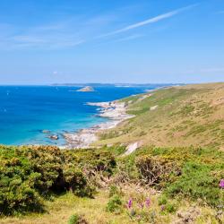 Devon Tourism Africa