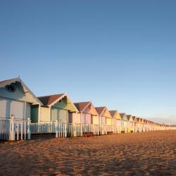 Essex Tourism Africa