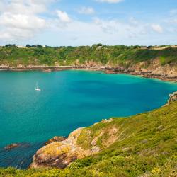 Guernsey Tourism Africa